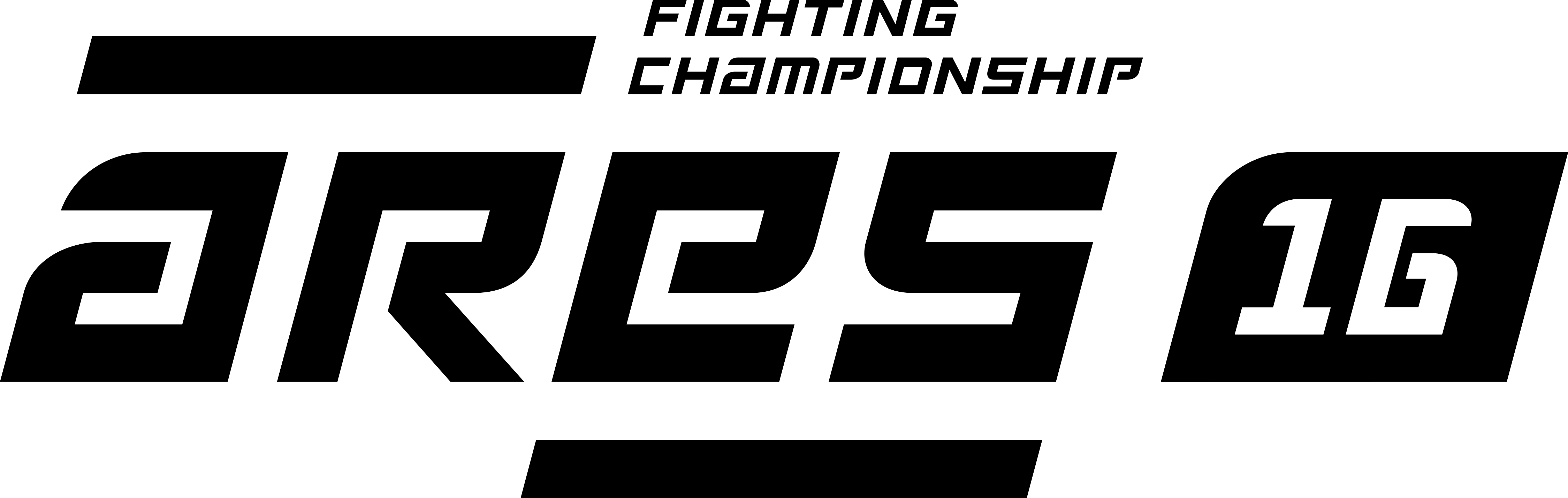ARES 16 Logo de combat